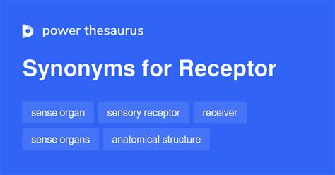 RECEPTOR in Thesaurus: 100+ Synonyms & Antonyms for .